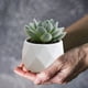 thumbnail image 4 of Mini Artificial Succulent In Plastic Pots Fake Plants For Indoors Office Decor For Women Office Home Decor Gifts Faux Plant, 4 of 6