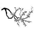 thumbnail image 1 of Lavinia Stamp - Cherry Blossom, 1 of 1