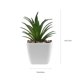 thumbnail image 3 of 4 piezas de simulación de plantas suculentas decorativas de imitación de plantas en maceta para decoración del hogar, 3 of 6