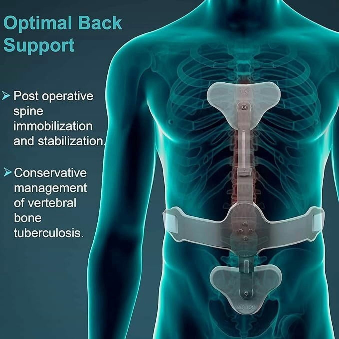 Back Support Brace for Posture Correction, Spinal Support, Pain Relief, Adjustable Hyper Extension Brace for Men and Women (Long above(5'60) feet)