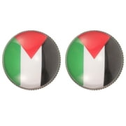abbageba 2pcs Palestine Flag Pins Flag Brooch Metal Brooch Pin Men Lapel Pin for Hat Suit Shirt