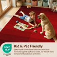 thumbnail image 4 of Design&I 8'x10' Washable Area Rug Minimalist Subtle Tonal Ombre Gradient Plush Detailing Solid Flowing Dynamic for King Size Bedroom, Under Bed, Sleek Flatweave Pet Friendly, 4 of 7