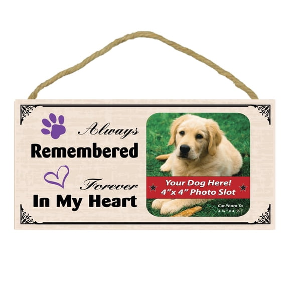 Imagine This Memorial Always Remembered Wood Sign Picture Frame