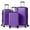 Purple, variant on 20in 24in 28in 3PCS Suitcase Set Vertical Striped Frosted Case ABS Trolley Case, Black