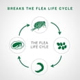 thumbnail image 3 of Advantage II Flea Treatment for Small Cats (4 doses), 3 of 7