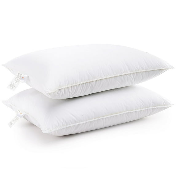 Cheer Collection Down Alternative Pillows (Set of 2)