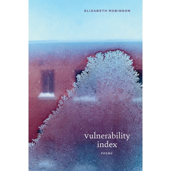 Vulnerability Index: Poems, (Paperback)