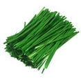 thumbnail image 3 of Vikakiooze 2022 Home Storage and Organization 800 Precut Ready Cut Small Short Green Garden Gardening Plant Wire Ties, 3 of 8