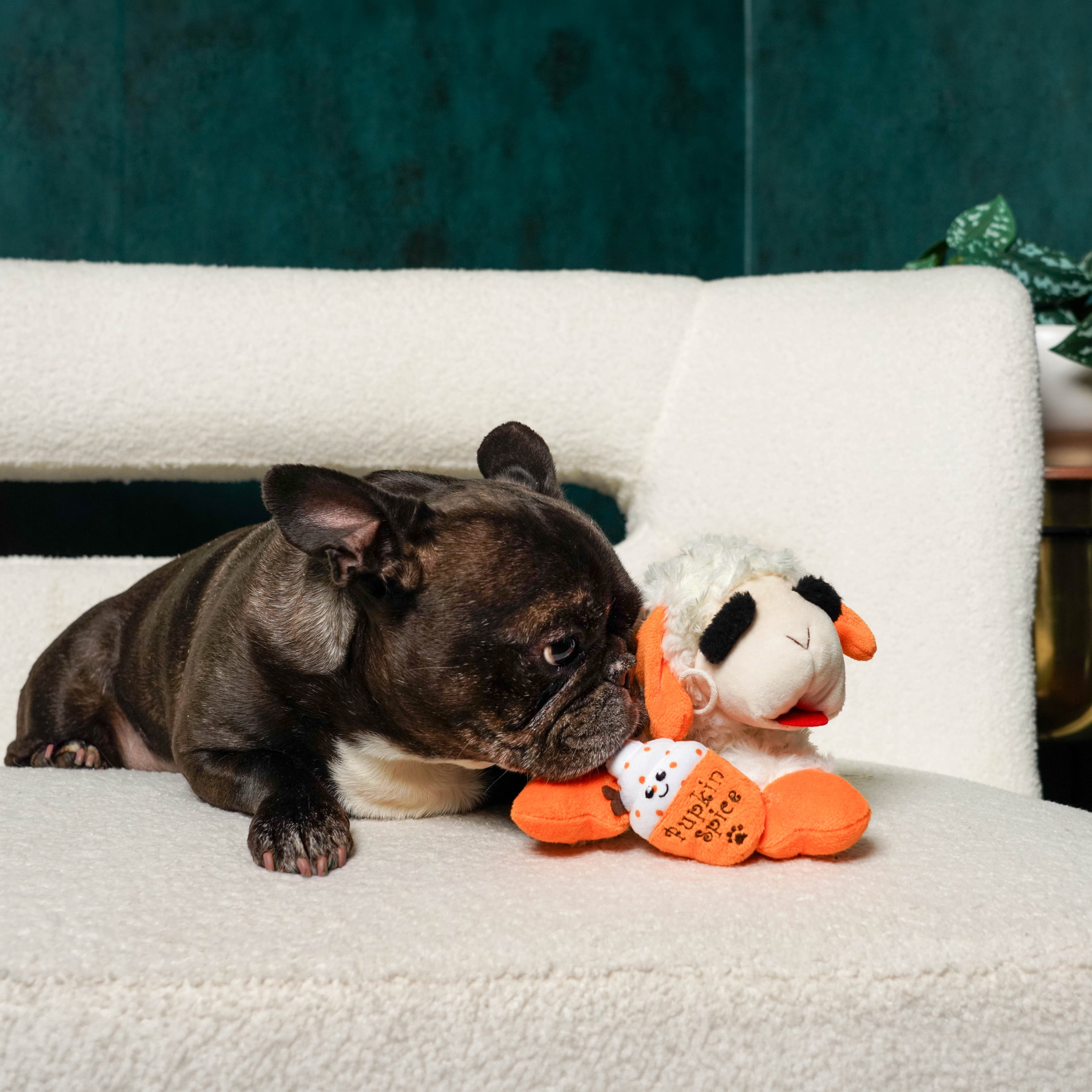 Multipet Lamb Chop Pupkin Spice Latte Dog Toy - Walmart.com
