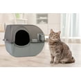 thumbnail image 3 of Self Cleaning Litter Box, 3 of 5