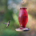 thumbnail image 4 of Perky-Pet Red Hobnail Vintage Hummingbird Feeder - 16 oz, 4 of 7