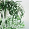 thumbnail image 2 of MYG Artificial Plants Green Wall Home Decoration Cloth Hanging Display Props, 2 of 9