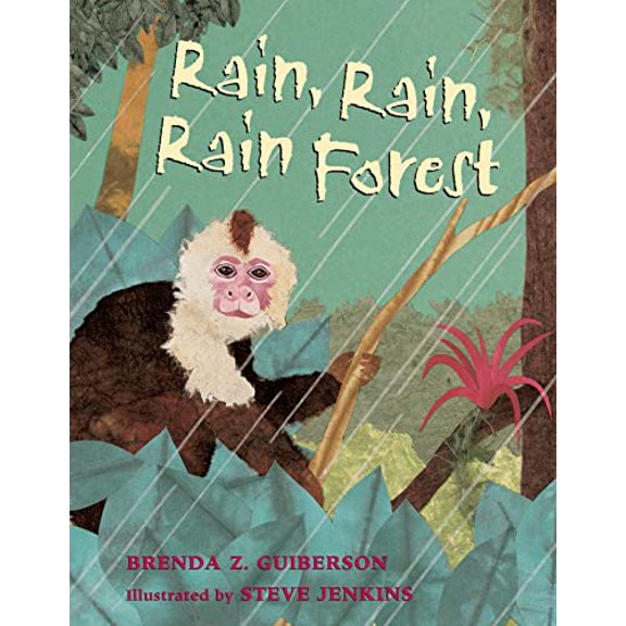 Pre-Owned Rain, Rain, Rain Forest, 9781250056771, 1250056772, Paperback,