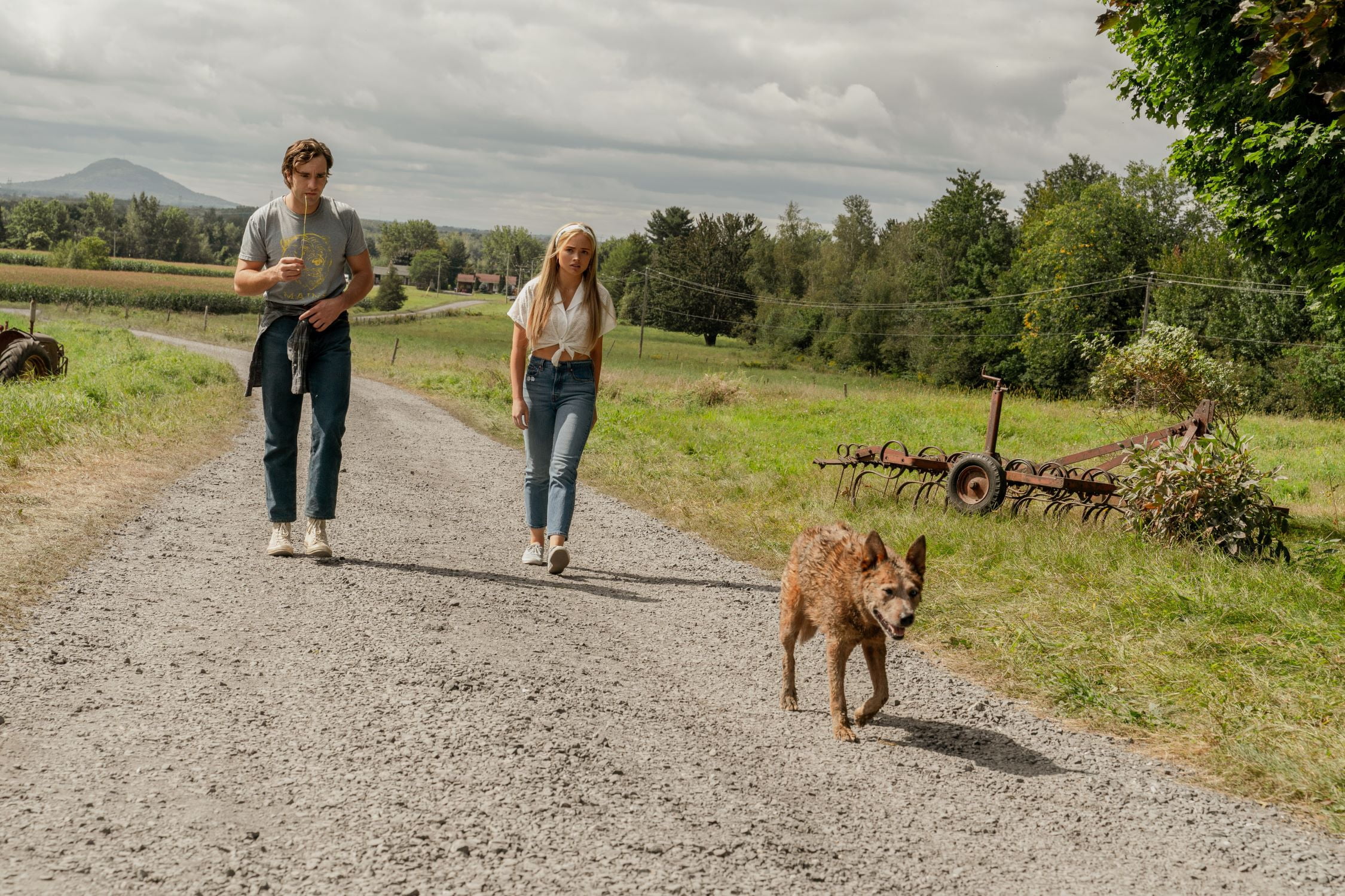 Pet Sematary (2019)/Pet Sematary: Bloodlines 2-Movie Collection (DVD)