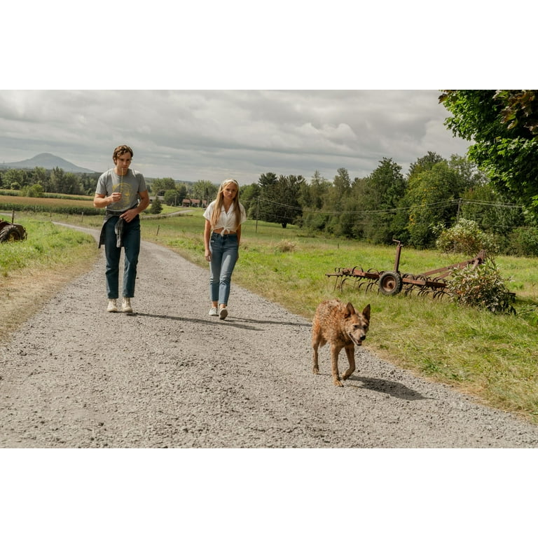Pet Sematary 2019 Pet Sematary Bloodlines 2 Movie Collection