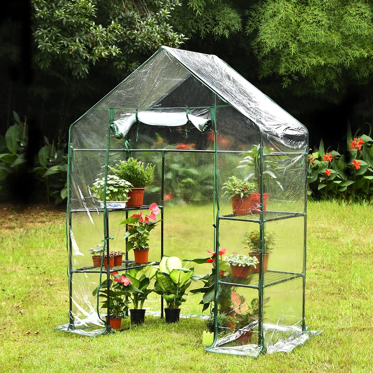 Large Walk-in Greenhouse With PE Cover 57 L x 57 W x 77 H 3 Tier 8 Shelves,Window Version and Roll-Up Zipper Door Waterproof Cloche Portable Green house,Outdoor Gardening Organic Greenhouse