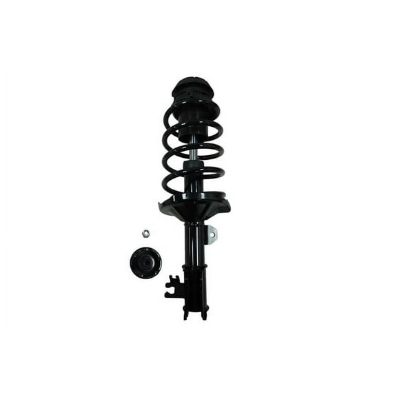 Suspension Strut and Coil Spring Assembly