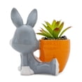 thumbnail image 4 of Looney Tunes Bugs Bunny 5-Inch Ceramic Mini Planter With Artificial Succulent, 4 of 8