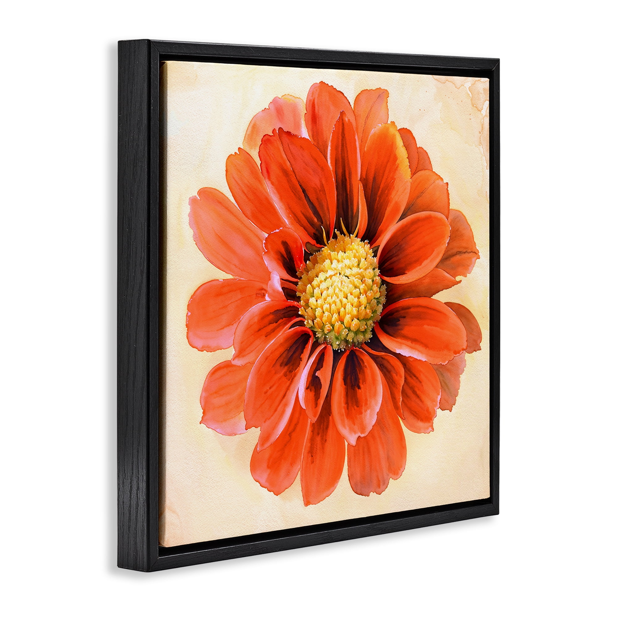 Stupell Industries Orange Dahlia Bloom Plants & Flowers Painting Black Floater Framed Canvas Art Print Wall Art, 18 x 18