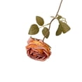 thumbnail image 2 of 1Pcs Artificial Silk Rose Stem, Single-Stem Frosty Snow Fringed Ins-Style, 39.5cm/15.6inches, Single Long Stem Flower for Home Decor, Table Centerpiece Arrangement Valentine's Day Gift (E), 2 of 8