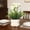 StyleB, variant on Potted Artificial Flowers in Ceramic Pot, 9.5in Realistic Faux Plant for Desktop Shelf Entrance, Fake Blooms for Home Decor