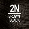 2N Brown Black