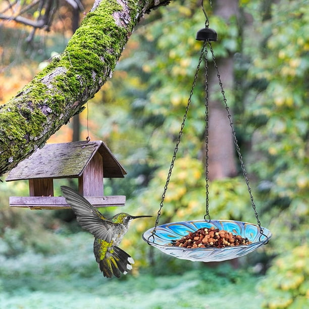 IBAOLEA Bain d'Oiseaux Suspendu pour Extérieur Verre Petit Mangeoire à  Oiseaux Bol Décoration de Jardin 11 Pouces Paon Plume de Paon - 