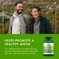 thumbnail image 3 of Swanson Full Spectrum Schizandra Berries - Herbal Supplement Promoting Stress Support & Liver Health - Helps Easy Body and Mind w/ Natural Ingredients - (90 Capsules, 525mg Each) (2 Pack), 3 of 8