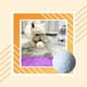 thumbnail image 5 of Greeniant Juguete para morder para mascotas, juguetes de pelota de entrenamiento, mordedor interactivo antiestrés, entrenador de actividades para Suministros para perros Blanco Greeniant PT003592-03, 5 of 6