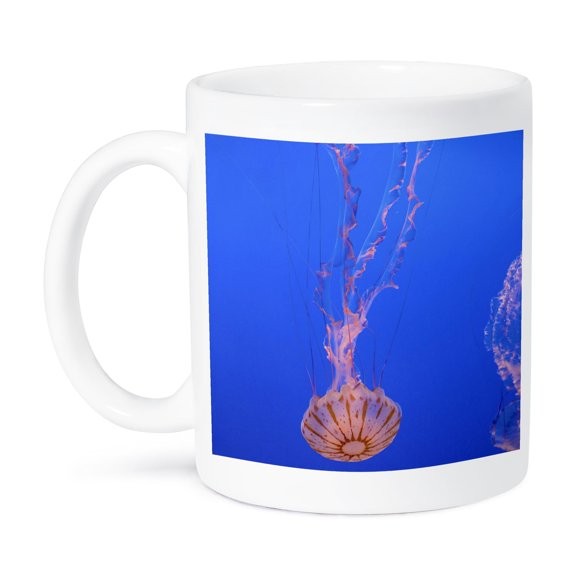 3dRose, Jellyfish, Monterey Bay Aquarium, California - US05 DFR0360 - David R. Frazier, 15oz Mug