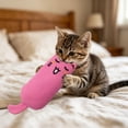 thumbnail image 1 of Catnip Cat Toy for Indoor Cats and Kittens – Soft Lightweight Small Toy with Real Catnip, Variety of Shapes, Perfect for Batting, Tossing and Carrying, 1 of 7