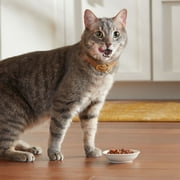 Meow Mix Tender Favorites with REAL Tuna & Whole Shrimp in Sauce, Wet Cat Food, 2.75 oz