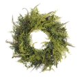 thumbnail image 1 of Vickerman FQ181022 22 in. Artificial Green Fern Wreath, 1 of 3