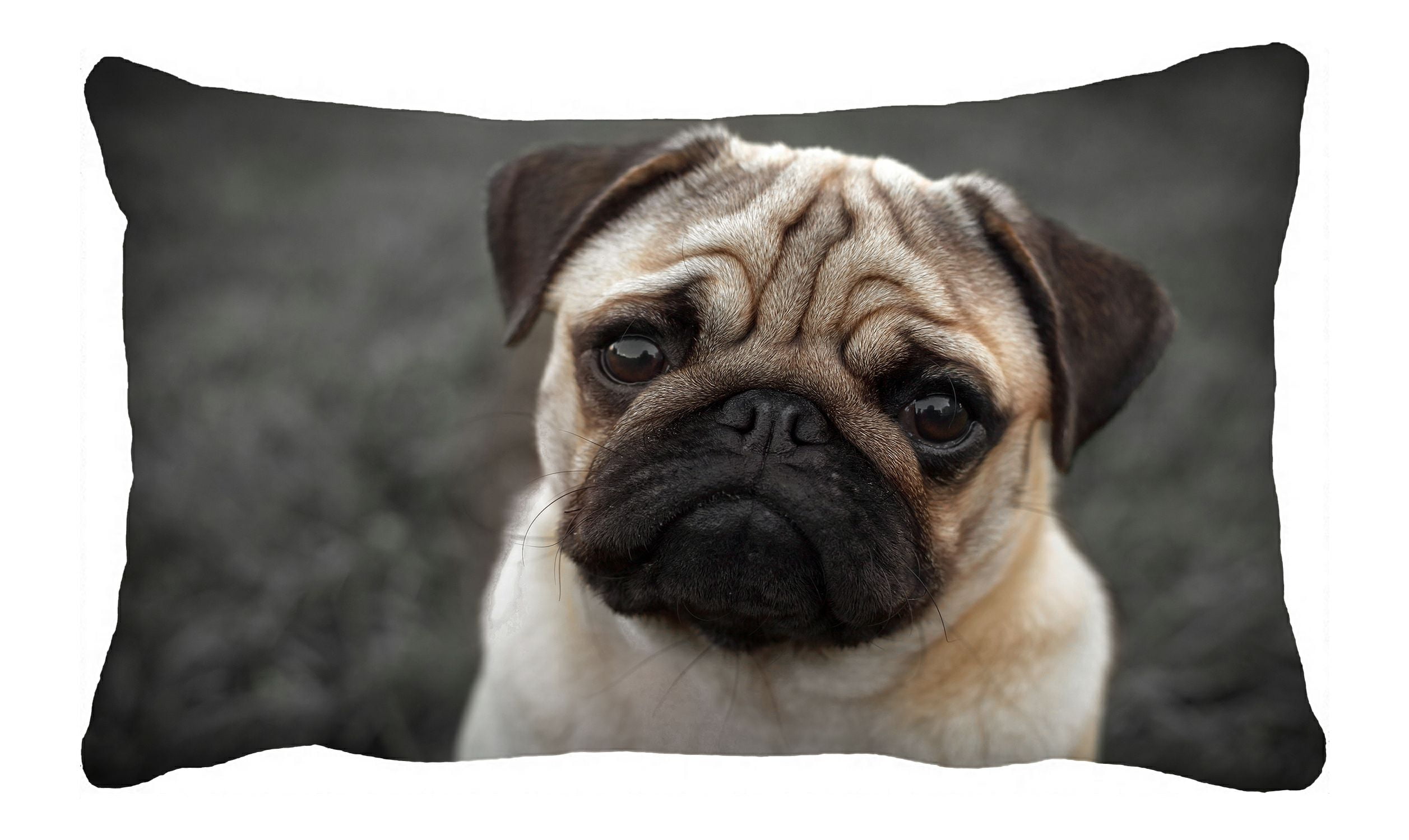 PHFZK Animal Pillow Case, Portrait of Beautiful Pug Puppy Pillowcase