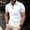 White |#10, variant on Mens Polo Shirt Quick Dry Short Sleeve Golf Shirt Quarter Zip Pullover Sweatshirt Casual Basic Tees Lightweight Top (Red,M)