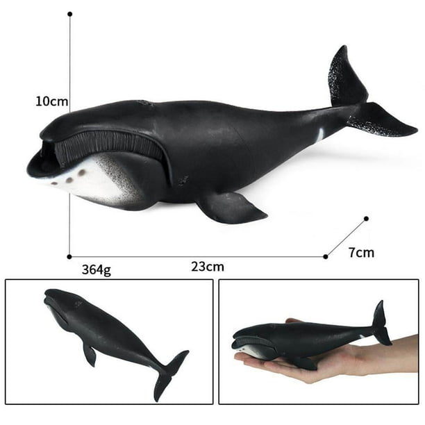 Ocean Whale Figures Animals Shark Sea Life Marine Educational Toys for Kids  Bowhead Whale