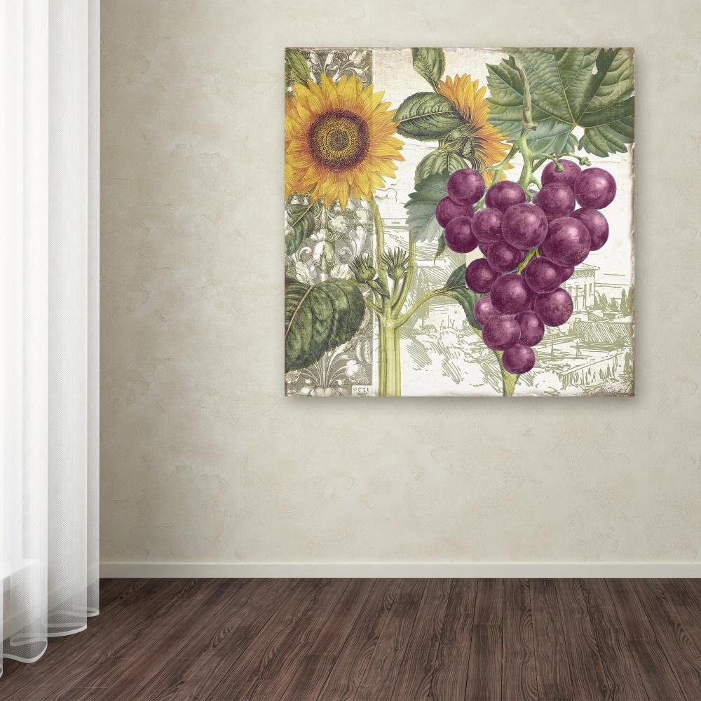 Trademark Fine Art "Dolcetto II" Canvas Art by Color Bakery