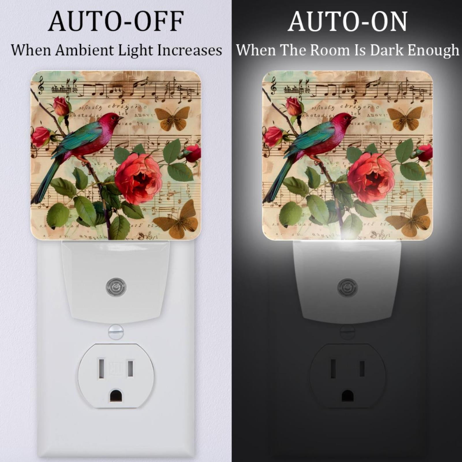PhooArto Red Bird Roses Music Notes Vintage Plug in LED Night Light Auto Sensor Dusk to Dawn Decorative Night for Bedroom, Bathroom, Kitchen, Hallway, Stairs, Baby's Room, Energy Saving