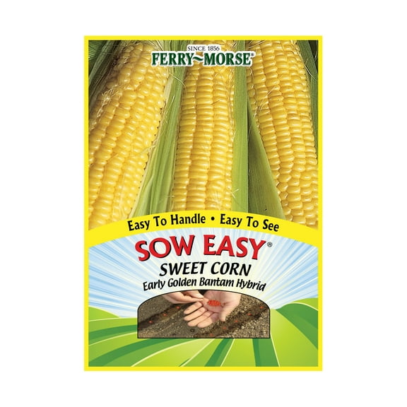 Ferry-Morse Sow Easy 45PCS Sweet Corn Early Golden Bantam Vegetable Plant Seeds Full Sun