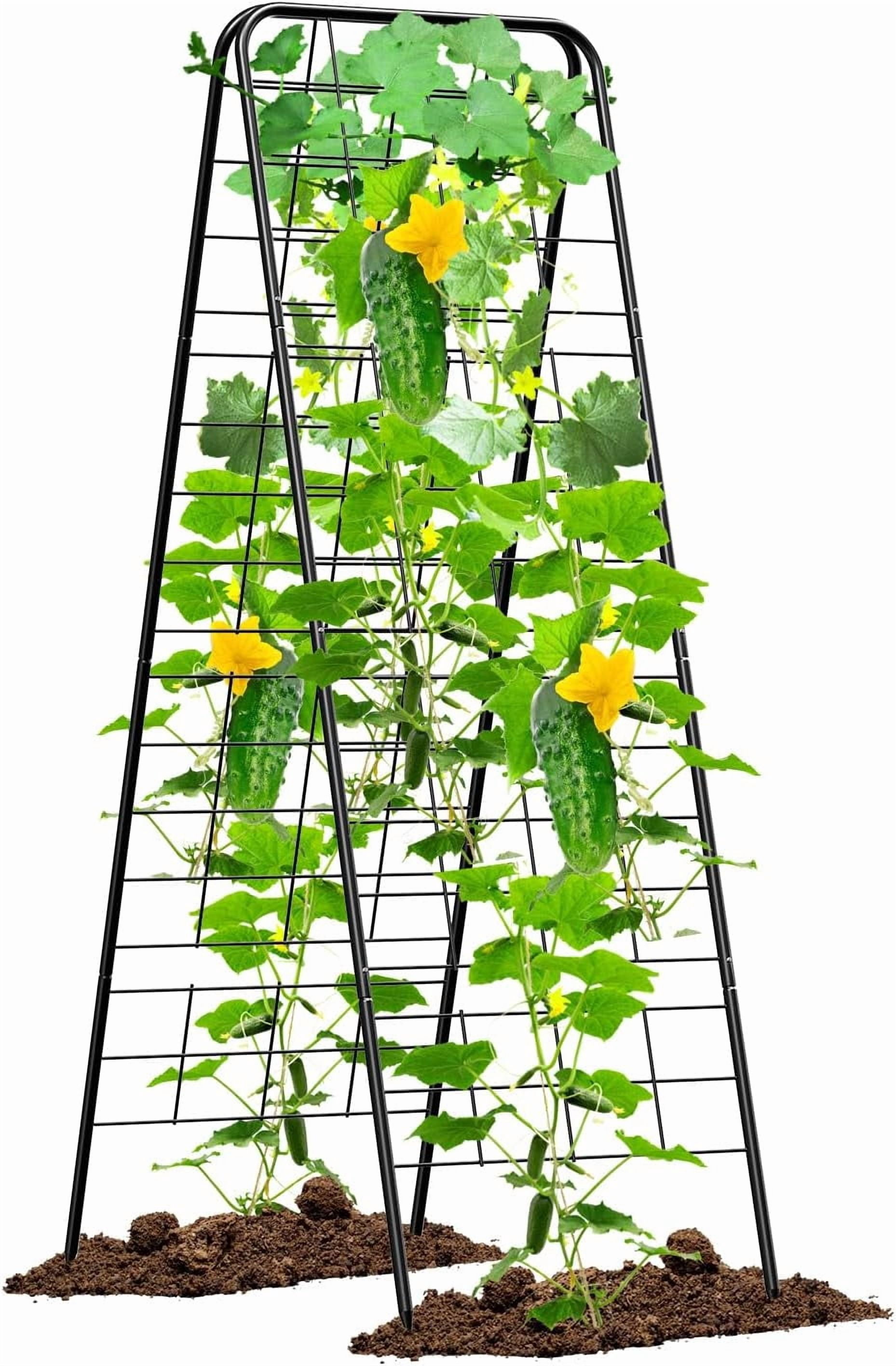 Heavy Duty Cucumber Trellis，50"x17"Adjustable A-Frame Trellis for Climbing Plants，Metal mesh Design, Rust-Proof and UV-Resistant，Garden Trellis for Cucumber Beans and Vine Type Plants.Black&2 Pcs