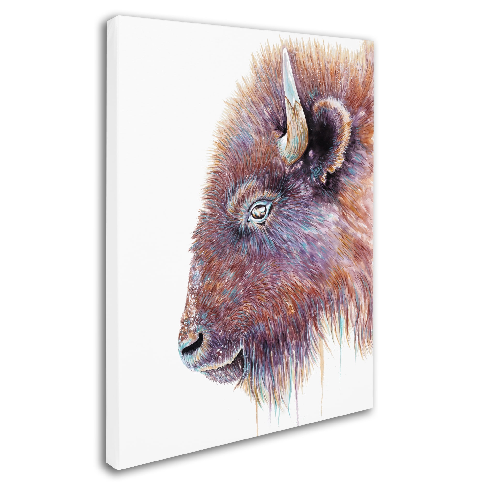 Trademark Fine Art 'Spirit Of The West Buffalo' Canvas Art by Michelle Faber