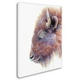 thumbnail image 2 of Trademark Fine Art 'Spirit Of The West Buffalo' Canvas Art by Michelle Faber, 2 of 3