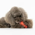 thumbnail image 4 of VIBRANT LIFE Grand/moyen/petit Distributeur de Gâteries Rouge, 4 of 8