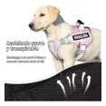thumbnail image 3 of Pechera Arnés Para Perro Con Correa Y Reflectantes Seguridad, 3 of 8
