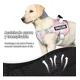 thumbnail image 3 of Pechera Arnés Para Perro Con Correa Y Reflectantes Seguridad, 3 of 8