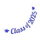 thumbnail image 2 of KAKOWELY 1 juego de pancarta para fiesta de graduación de la clase de 2025, pancarta con temática de graduación, adorno colgante para fotos y decoración de pared., 2 of 5