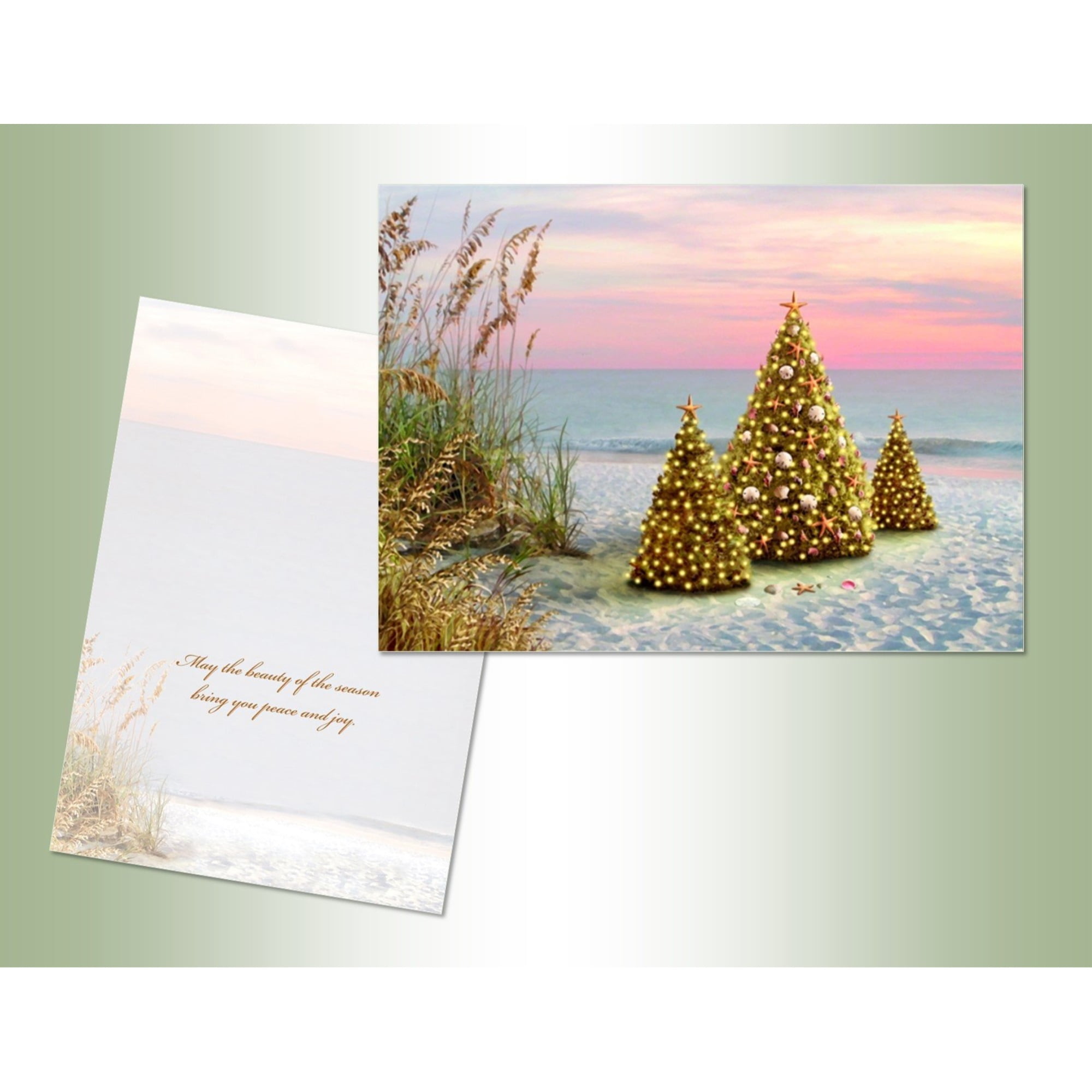 Beach Grass - Exceptional Value