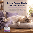 thumbnail image 4 of GAOAG Pure Plant Formula Cat Calming Gel Diffuser, 1 Count, Non-Electric, 4 of 9