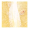 thumbnail image 3 of Naranja Tamez en malla 5 kg, 3 of 3