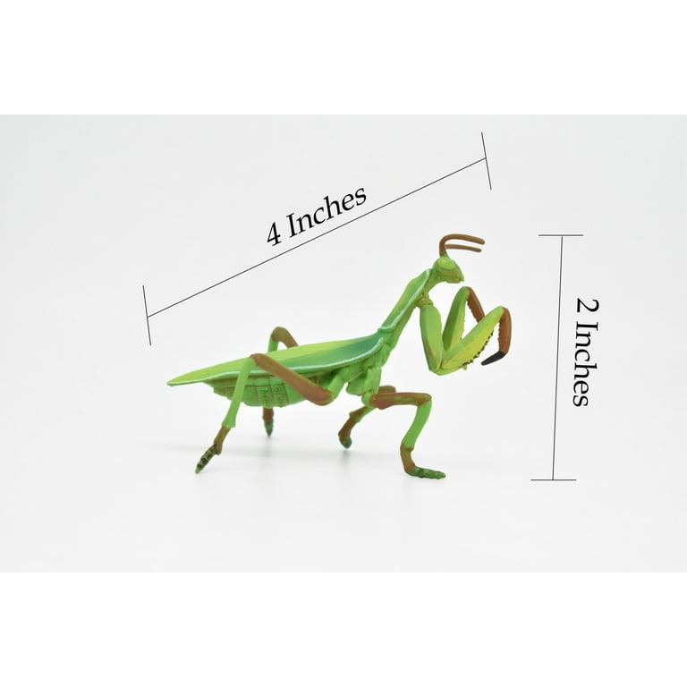Praying Mantis Toy Animal, Realistic Rubber Replica, Hand